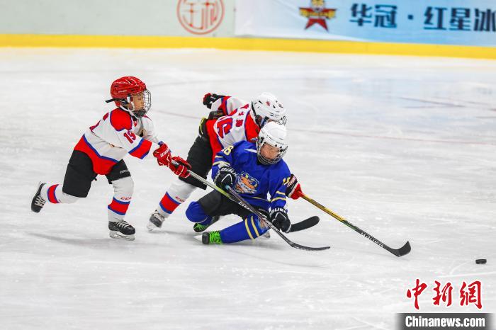 首届东北青少年冰球联赛在哈尔滨启幕 蒙古国首